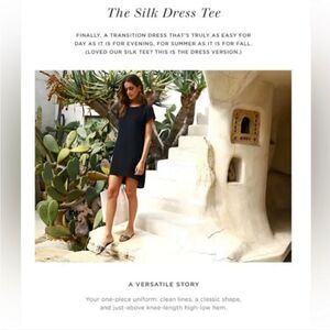 Cuyana The Silk Tee Dress Black High LowMini Minimalist Casual Short Sleeve